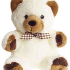 24 Inches Teddy off white with brown