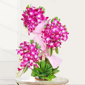 Orchids Arrangement