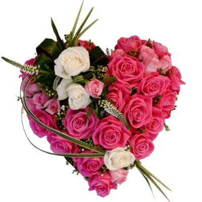 50 Heart shape pink roses