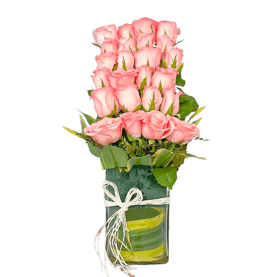 Pink Roses In vase